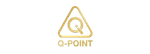 Logo Q-POINT